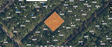 Lake George Lot For Sale in Georgetown Florida