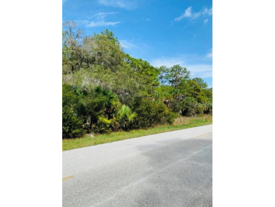Port Charlotte Waterway Lakes Area Lot For Sale in Port Charlotte Florida