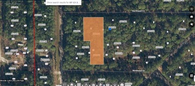 Lake George Lot For Sale in Georgetown Florida