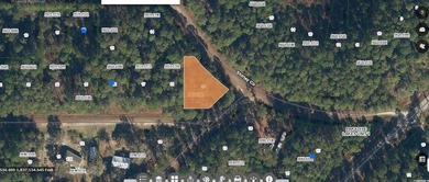 Lake George Lot For Sale in Georgetown Florida