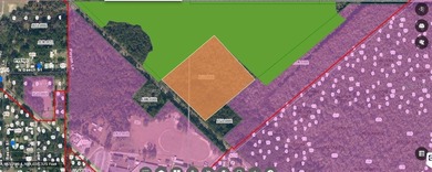 St. Johns River Acreage For Sale in East Palatka Florida