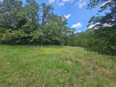 Lake Lot For Sale in Sulphur, Oklahoma
