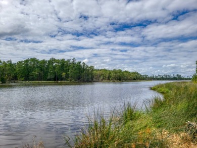 Pungo River - Beaufort County Acreage For Sale in Scranton North Carolina