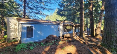 Unlock the potential of this 5.5-acre Brookings property - photo 11