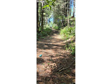 Unlock the potential of this 5.5-acre Brookings property - photo 19