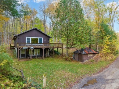 (private lake, pond, creek) Home For Sale in Forestport New York