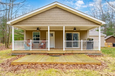 Lake Home For Sale in Grand Junction, Michigan