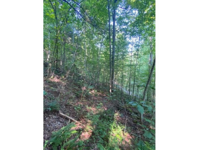 Lake Acreage For Sale in Wilder, Tennessee