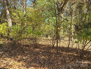 Lake Wylie Lot Active Under Contract in Belmont North Carolina
