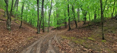 Lake Michigan - Oceana County Acreage For Sale in Pentwater Michigan