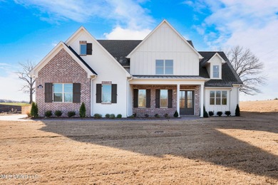 (private lake, pond, coastal) Home For Sale in Hernando Mississippi