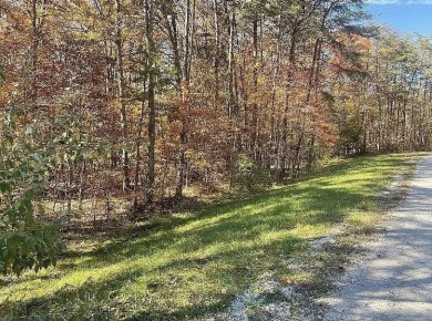 Lake Lot For Sale in Spencer, Tennessee