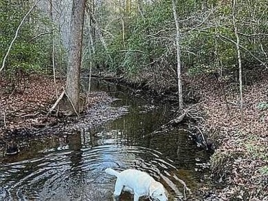 Nice creek front lot with lots of road frontage in Long Branch - photo 2