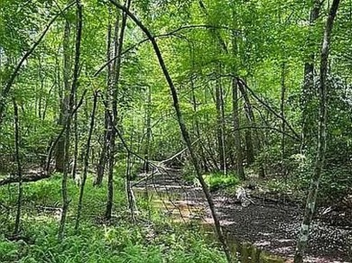 Nice creek front lot with lots of road frontage in Long Branch - photo 3
