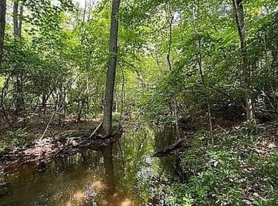 Nice creek front lot with lots of road frontage in Long Branch - photo 5