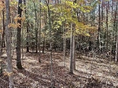 Nice creek front lot with lots of road frontage in Long Branch - photo 6