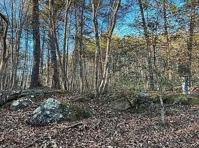 Nice creek front lot with lots of road frontage in Long Branch - photo 9