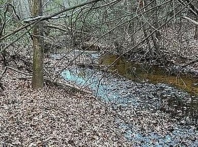 Nice creek front lot with lots of road frontage in Long Branch - photo 10