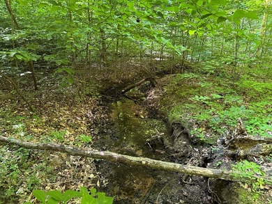 #73360-Hidden Acres!! Tucked away north of Clarksville in Oak - photo 12