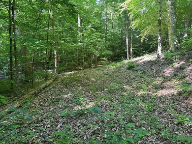 #73360-Hidden Acres!! Tucked away north of Clarksville in Oak - photo 13