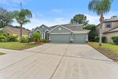 Lake Home For Sale in Land O Lakes, Florida