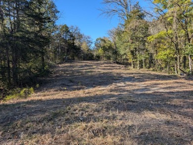 Lake Home For Sale in Burkesville, Kentucky