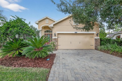 (private lake, pond, creek) Home Sale Pending in Tampa Florida