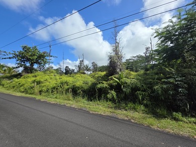 Vacant land located on a dead end street in an established - photo 1