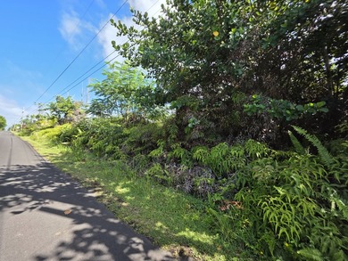 Vacant land located on a dead end street in an established - photo 4