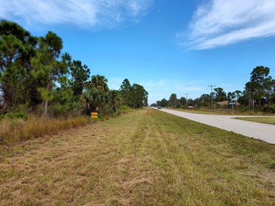 Lehigh Acres Area Lot For Sale in Lehigh Acres Florida