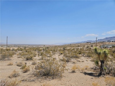 Lake Mead Lot For Sale in Meadview Arizona