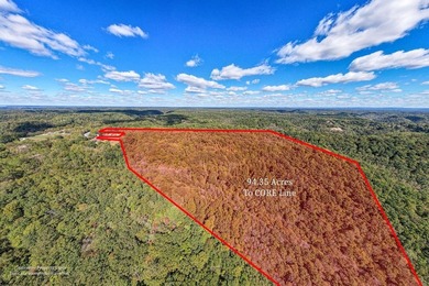 Discover the vision for your Dream Home or Investment Property! - photo 8