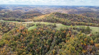This large 355 acre tract is a rare find for this area - photo 11