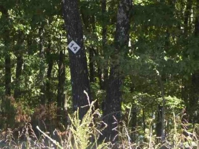 Lakefront lots in resort area with Tannenbaum Golf Course and - photo 2