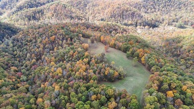 This large 355 acre tract is a rare find for this area - photo 12