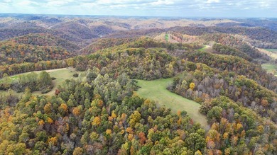 This large 355 acre tract is a rare find for this area - photo 13