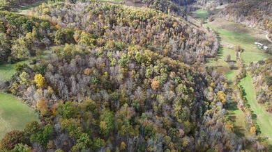 This large 355 acre tract is a rare find for this area - photo 15