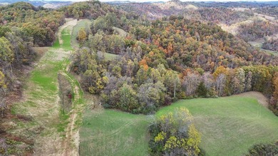 This large 355 acre tract is a rare find for this area - photo 17