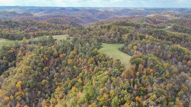This large 355 acre tract is a rare find for this area - photo 18