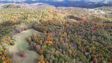 This large 355 acre tract is a rare find for this area - photo 19