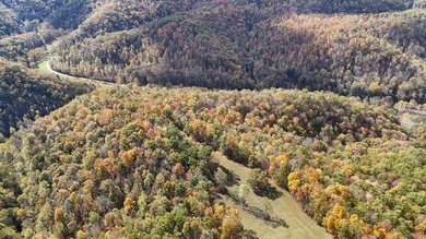 This large 355 acre tract is a rare find for this area - photo 21