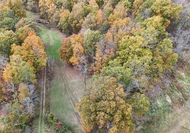This large 355 acre tract is a rare find for this area - photo 22