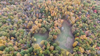 This large 355 acre tract is a rare find for this area - photo 23
