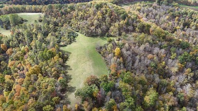 This large 355 acre tract is a rare find for this area - photo 24