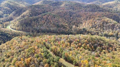 This large 355 acre tract is a rare find for this area - photo 25