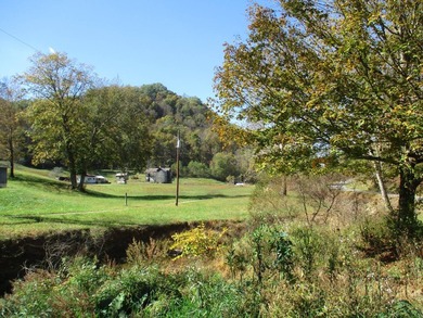 This large 355 acre tract is a rare find for this area - photo 27