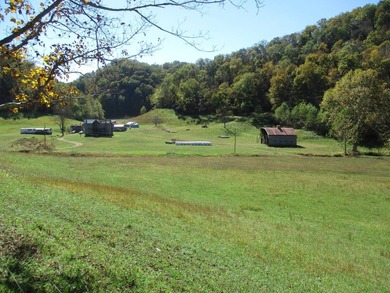 This large 355 acre tract is a rare find for this area - photo 35