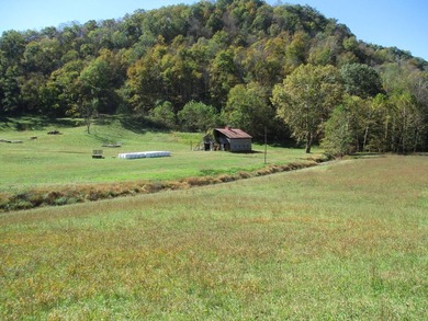 This large 355 acre tract is a rare find for this area - photo 36