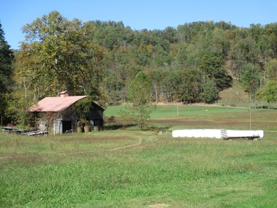 This large 355 acre tract is a rare find for this area - photo 37