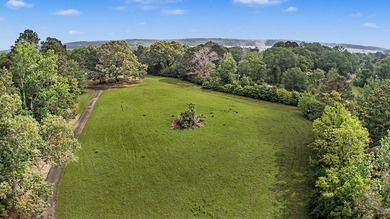 Your Dream Property Awaits - 33 Acres on Toledo Bend Imagine - photo 38